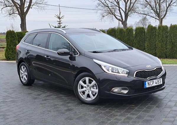Kia Ceed cena 29900 przebieg: 221000, rok produkcji 2012 z Lędziny małe 277